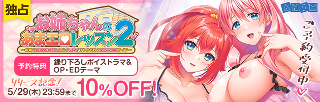 お姉ちゃんのあまエロレッスン2 お隣の巨乳お姉ちゃんにイッパイ甘やかされるめちゃエロライフ