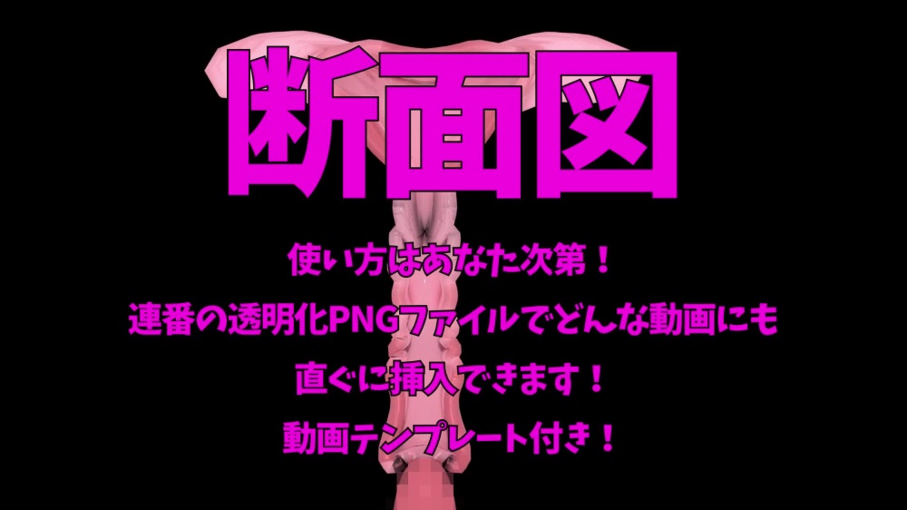 3DCG断面図動画素材Vol1 [えるるっく] | chobit(ちょびっと) 