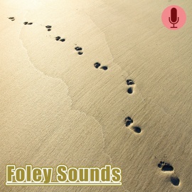 Foley Sounds
