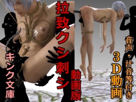 拉致クシ刺シ　動画版