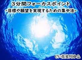 「3分間フォーカスポイント」 　ビジネス用マインドセット -目標や願望を実現するための集中法 -