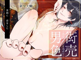 衒売男色～あなただけを求めて～