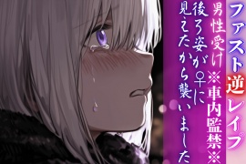 初シリーズ全編アドリブ ※車内監禁※ 【押し込まれ無理矢理レイプ】 後ろ姿が♀に見えたから襲いました—— 【ファストレイプ】 cv春待雹