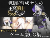 王宮騎士のリスクヘッジ