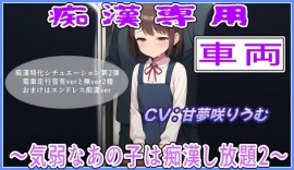 痴漢専用車両～や、やめてくださいぃ2～