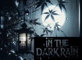 In the dark rain