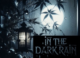In the dark rain
