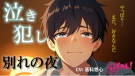 泣き犯し～ 同棲解除日記 ― 最後の夜、僕たちは涙を流しながら身体を重ねた ～ ASMR/バイノーラル/泣きエッチ/カップル/日常/別れ/感動/あまあま/中出し
