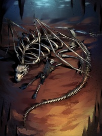 Dragon's Pet