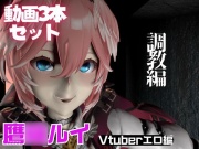 Vtuber鷹○ルイを調教してメスということを分からせる動画パック「Taka○e Lui」