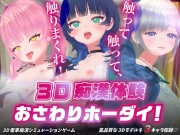 3D痴◯体験 おさわりホーダイ！〜 触って触って、触りまくれ！〜