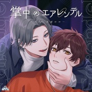 掌中のエアレンデル ～君さえいればいい～【がるまに限定特典付き】