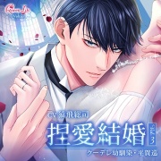 捏愛結婚 Vol.3 〜クーデレ幼馴染・平賀巡〜