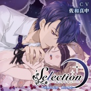 Selection～柔和な長男 葵の場合～【がるまに限定特典SS付】