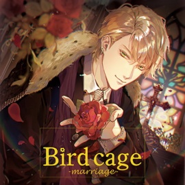 birdcage-marriage-