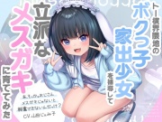 トー横界隈地のボクっ子家出少女を補導して立派なメスガキに育ててみた