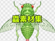 蟲素材集