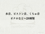 【効果音】水音、ピストン音、くちゅ音、オナホなど～28種類