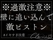 壁に追い込んでひたすらピストンする音声
