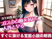 ガスの点検を装い、人妻とヤる【すぐに抜ける官能小説の朗読】