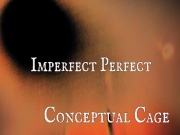 Imperfect Perfect