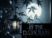 In the dark rain