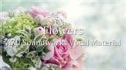 【ボーカル曲音楽素材】AZU Soundworks Vocal Material「Flowers」