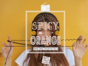 マニアックサウンドコレクション Spicy Orange