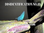 Disidentification_No.13_The end of transformation