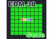 【シングル】EDM 38 - Gene/ぷりずむ