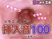 挿入音100～エロ効果音シリーズ02
