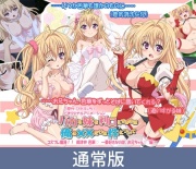 【通常版】バカな妹を利口にするのは俺の××だけな件について コスプレ爛漫！！ 御津井芭華 一番好きなのは、お兄ちゃん編