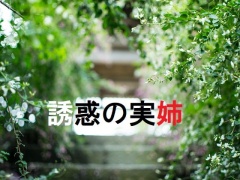 誘惑の実姉