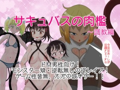 サキュバスの肉檻〜調教編