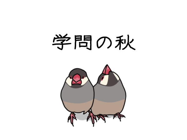 出典:blog-imgs-172.fc2.com