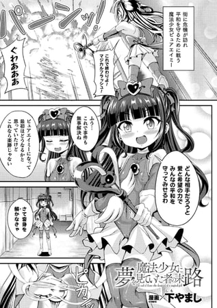 【孕ませ系おススメ作品】『魔法少女に夢を見ていた者の末路【単話】』