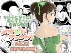 メタモルフォーゼ21vol.13