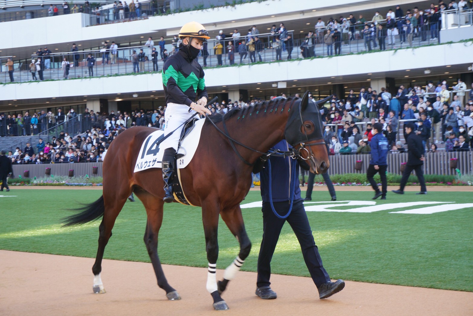 【ベルウェザー：2戦目】2年目も「俺の愛馬が！」を現実にしてみた【一口馬主】