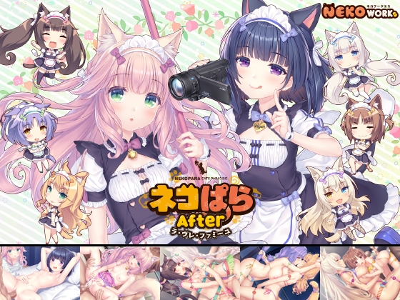 2025年1月～6月購入した同人ゲーム 面白いゲームが沢山ありました