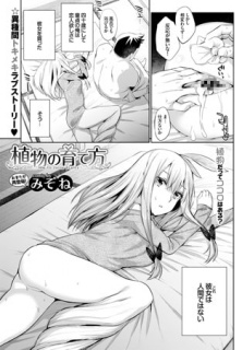 植物の育て方