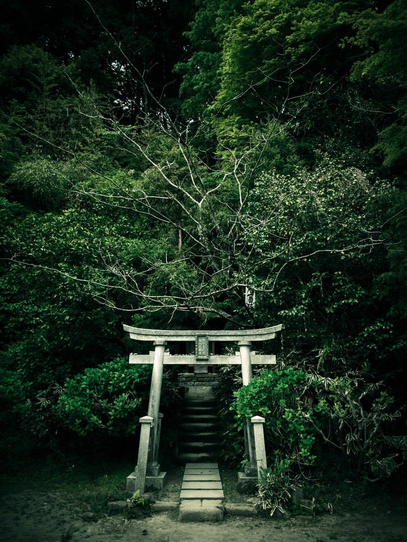 さっさと神社に行って誓いを立てよう。