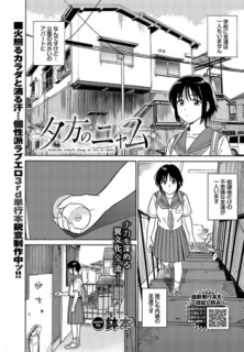 夕方のニャム