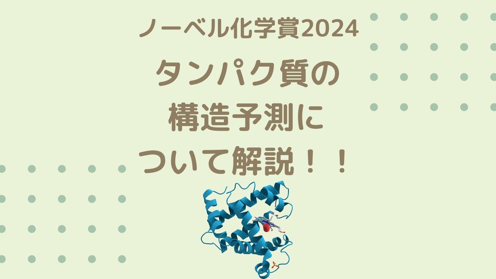 【ノーベル化学賞2024】タンパク質の構造予測について解説！！【David Bakerら】