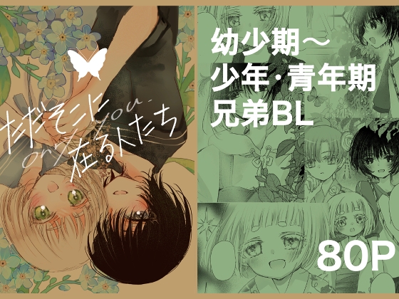 美しい兄弟の愛し合う日々を、幼少期から少年・青年期にわたり、周囲の家族との関係性と共に描くBL漫画。