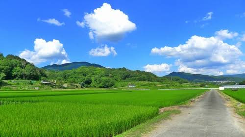 夏の田舎が舞台の同人エロゲ（隠れた良作）