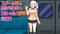 スメール駅に向かう途中で起こった奇妙な出来事