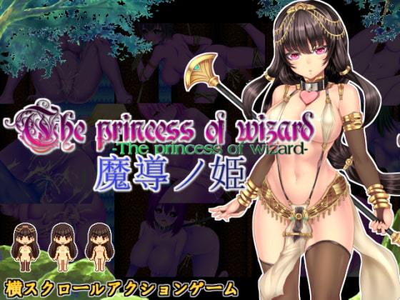 横スクロールアクションゲーム 魔導ノ姫