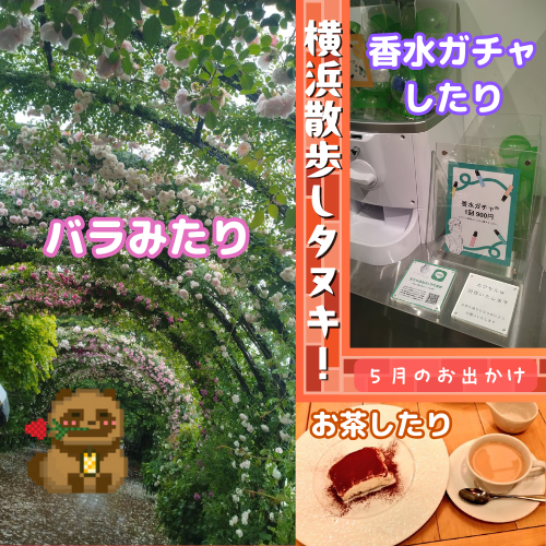 【バラと香水とカフェ】横浜散歩しタヌキ！in2025年5月【そしてアクシデント】
