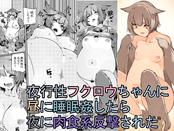 【孕ませ系おススメ作品】『夜行性フクロウちゃんに昼に睡眠○したら夜に肉食系反撃された』