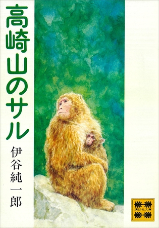 「高崎」とは？